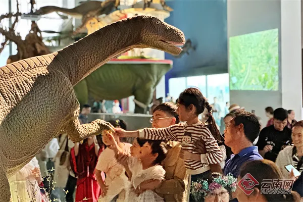 云南广播电视台微信