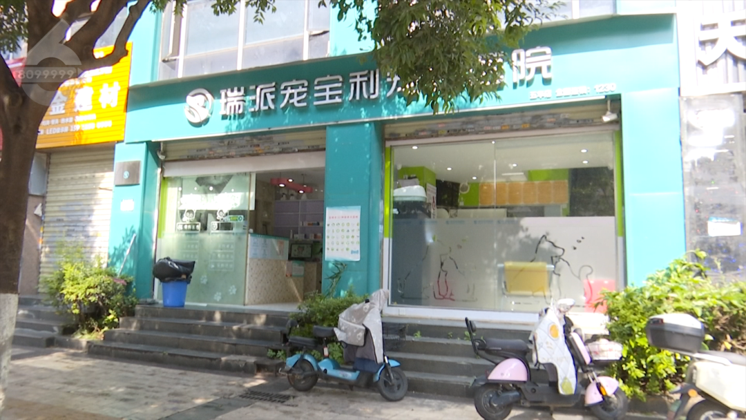 8099999街头巷尾微信