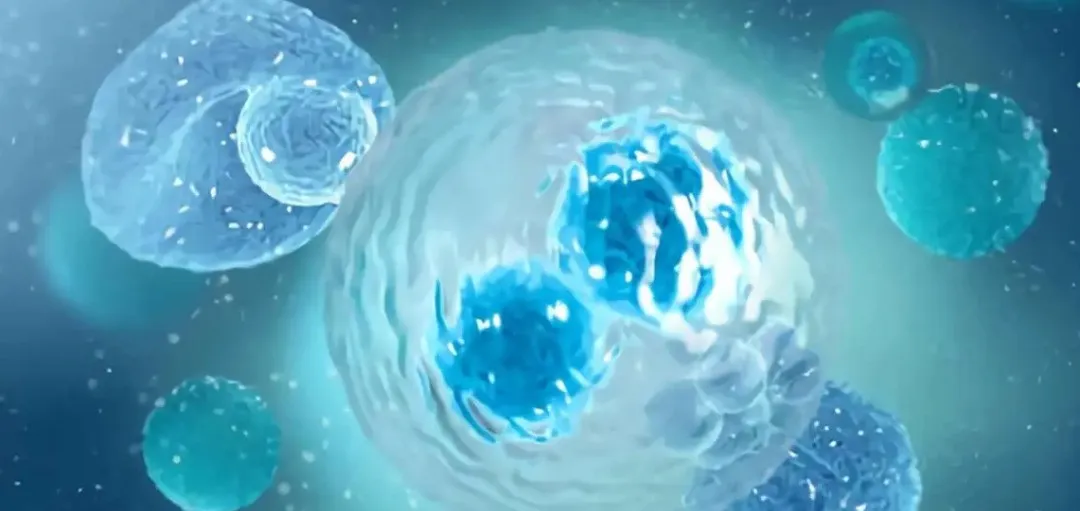 昆明国家高新区发布