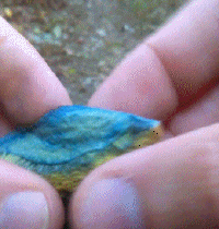 昆明广播电视台微信