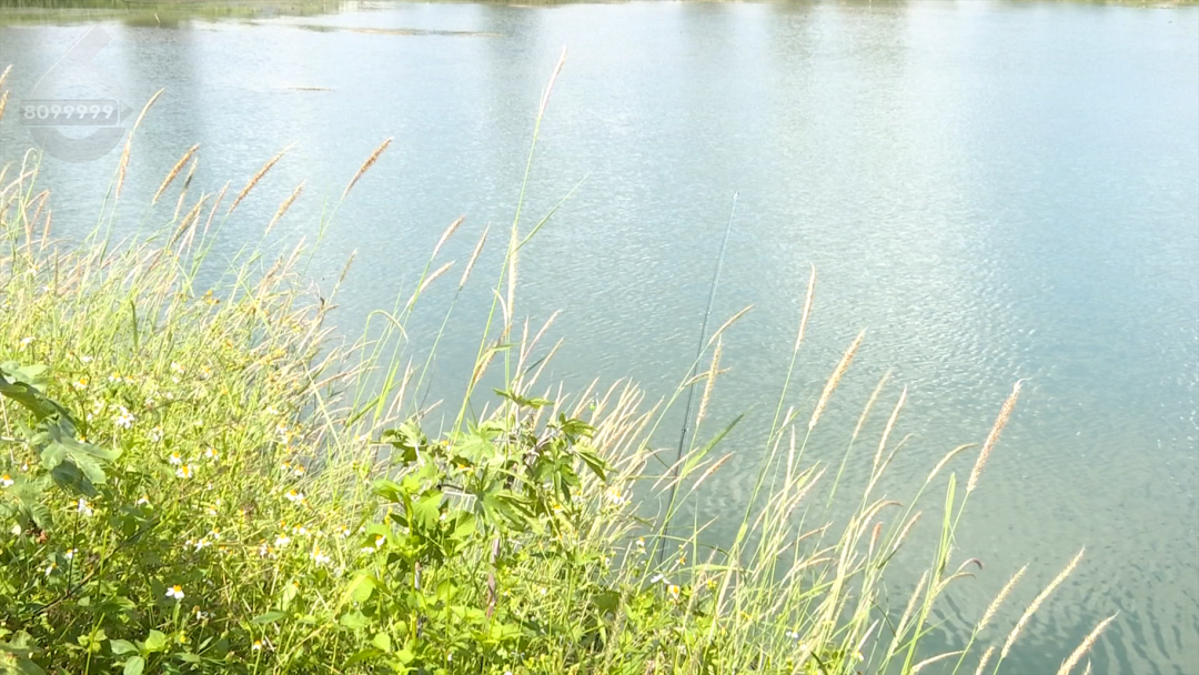 8099999街头巷尾微信