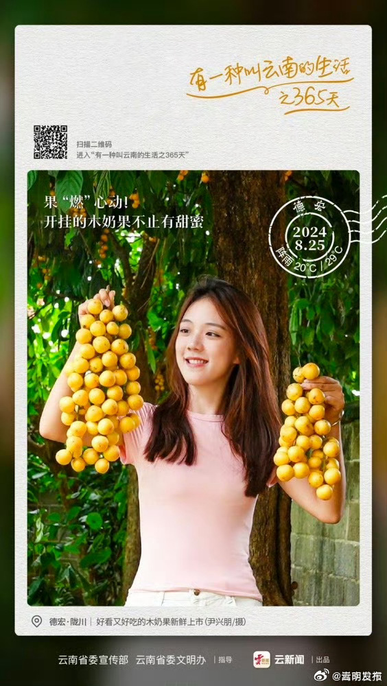 果“燃”心动！开挂的木奶果不止有甜蜜——有一种叫云南的生活之365天 