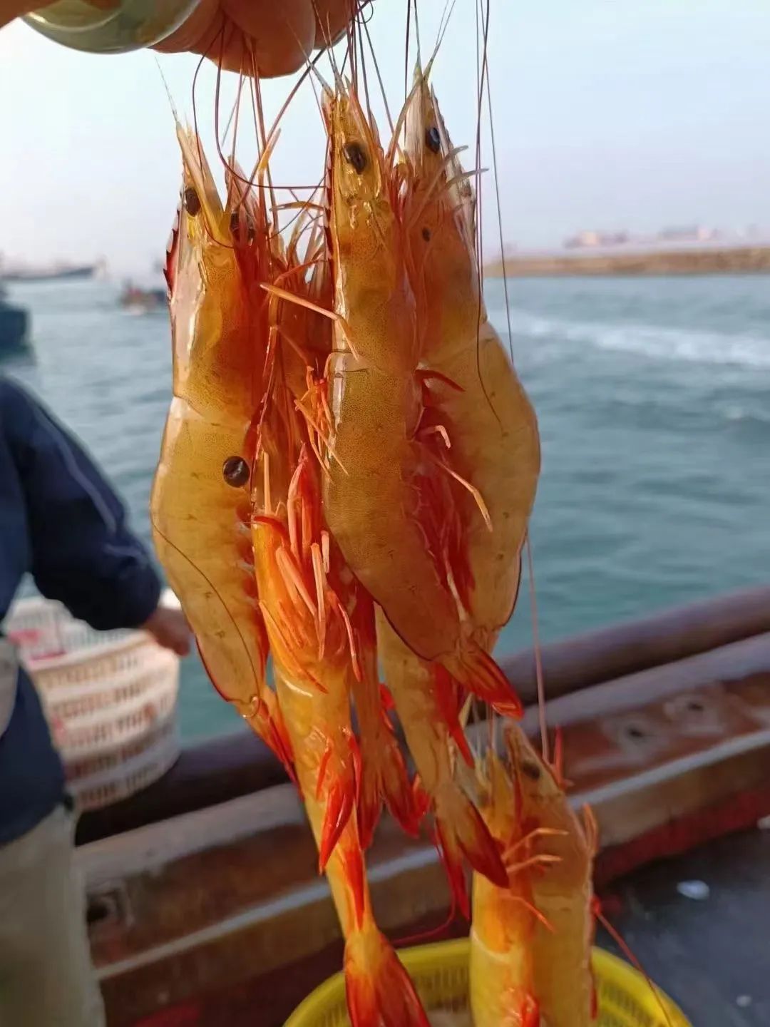 昆明广播电视台