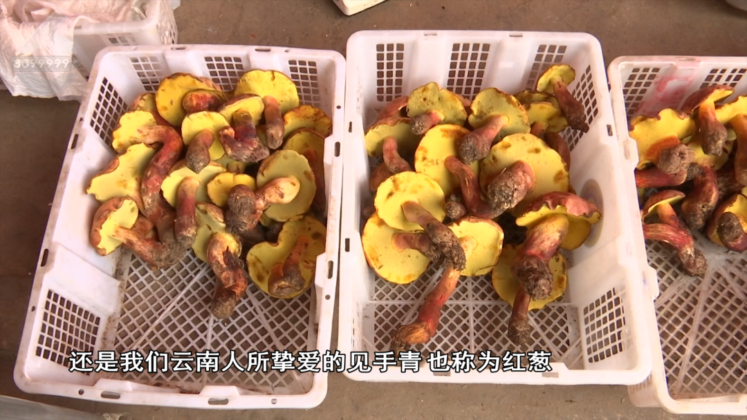 8099999街头巷尾微信