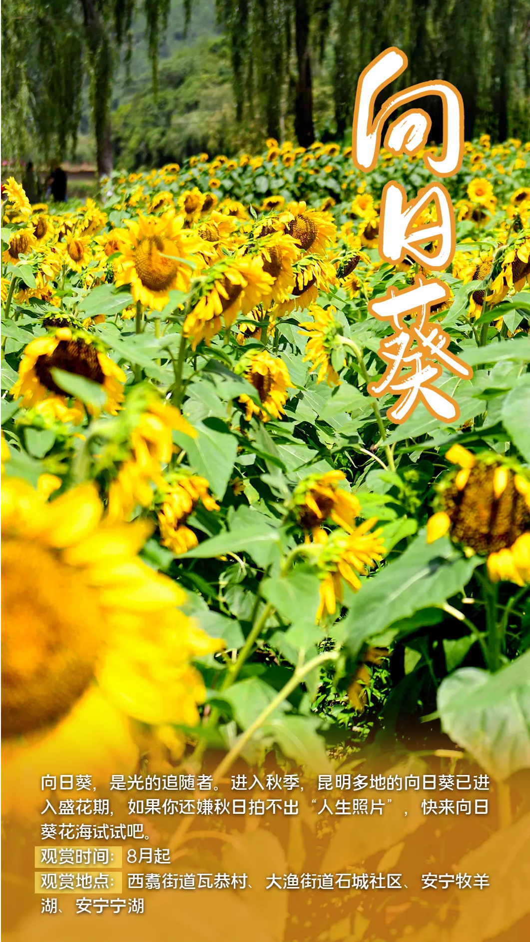 FM105城市生活广播