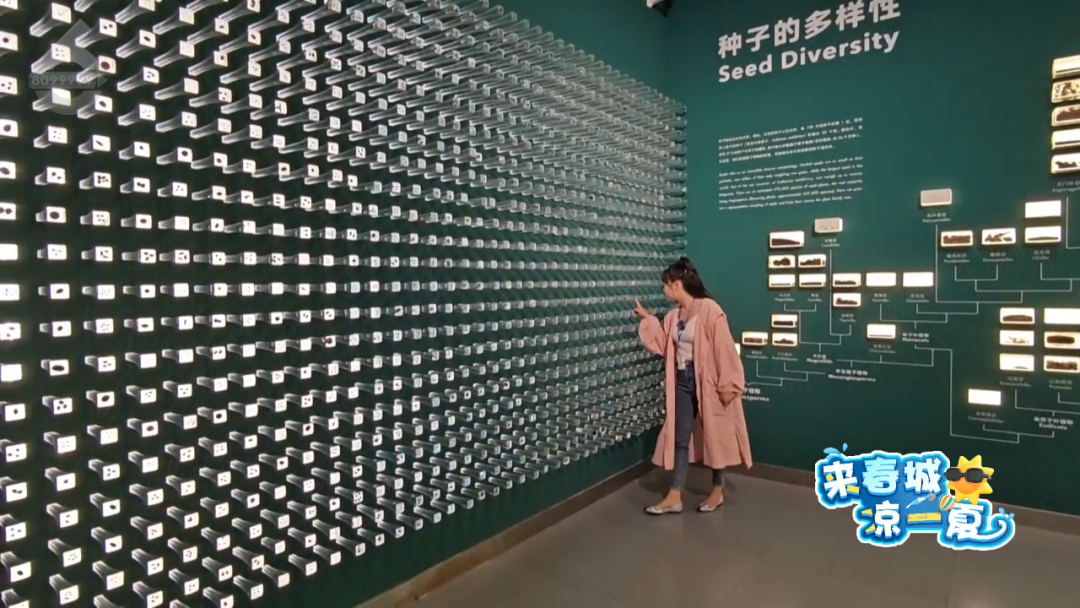 8099999街头巷尾微信