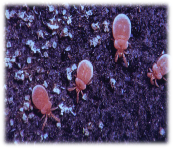 昆明市第一人民医院