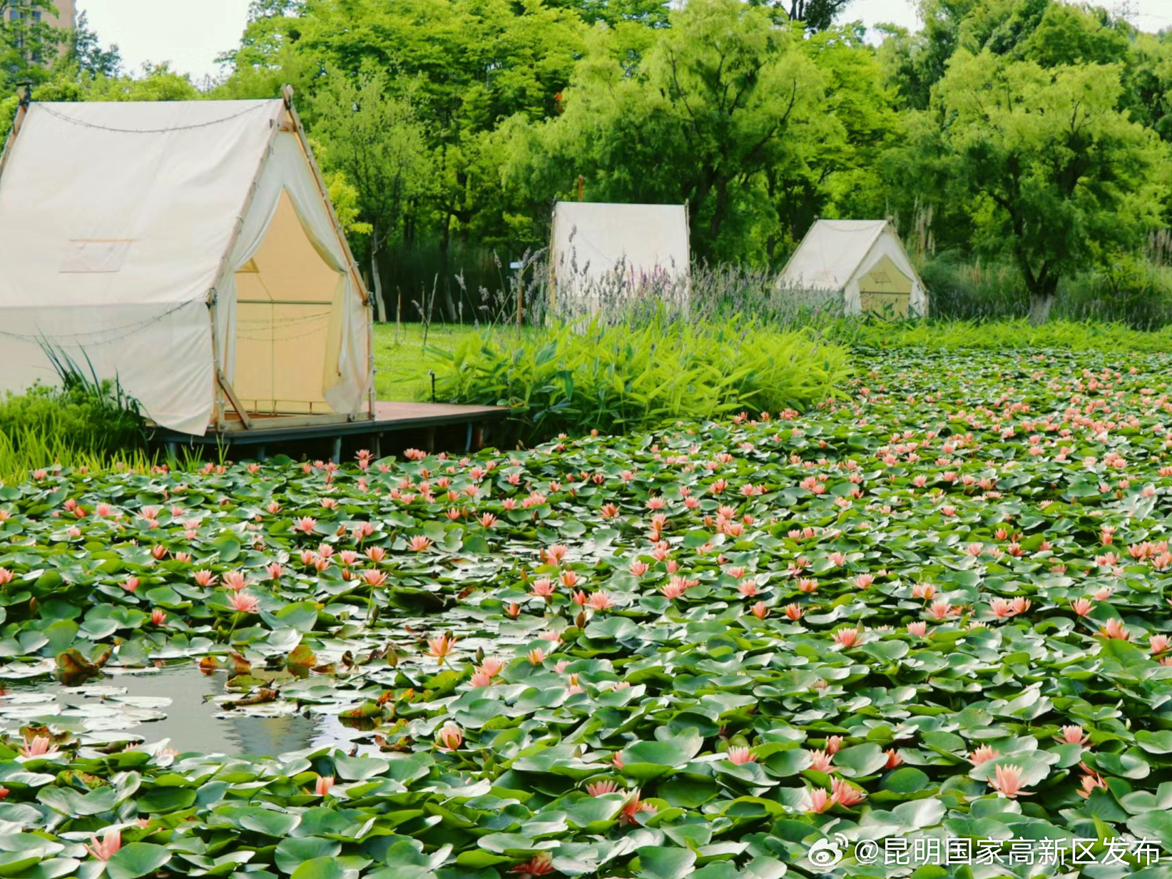 昆明国家高新区发布