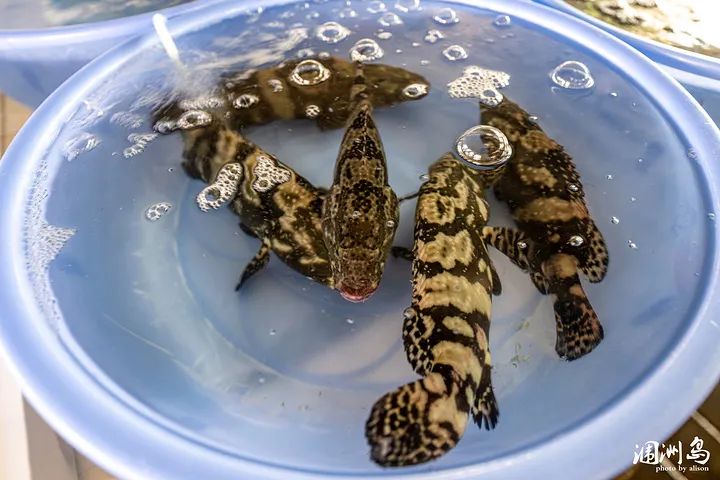 昆明广播电视台微信