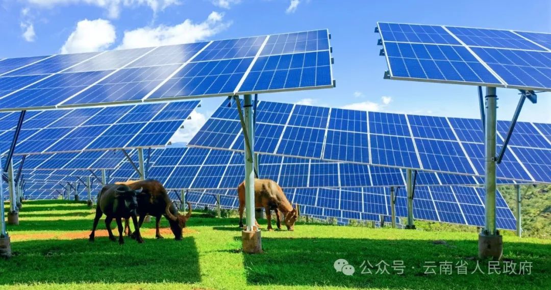 云南省人民政府网