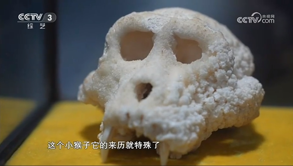 石林融媒