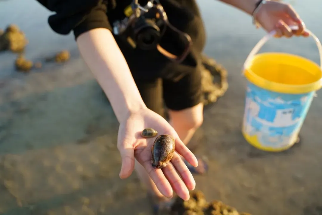 昆明广播电视台微信