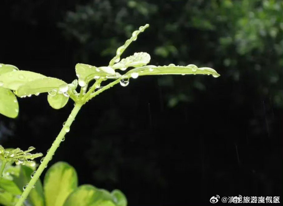 滇池旅游度假区