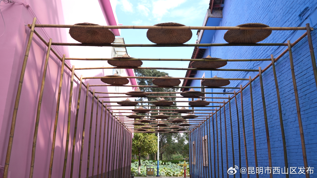 昆明市西山区发布