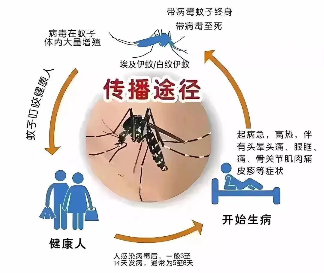 都市时报微信