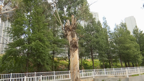 8099999街头巷尾微信