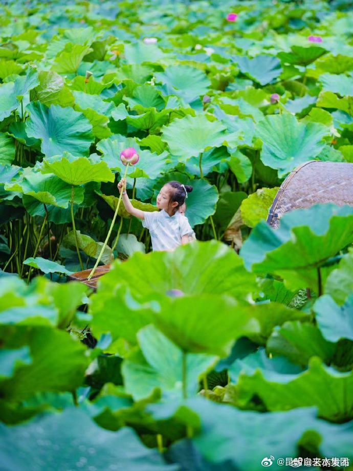 昆明自来水公司