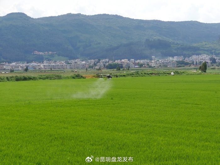 昆明盘龙发布