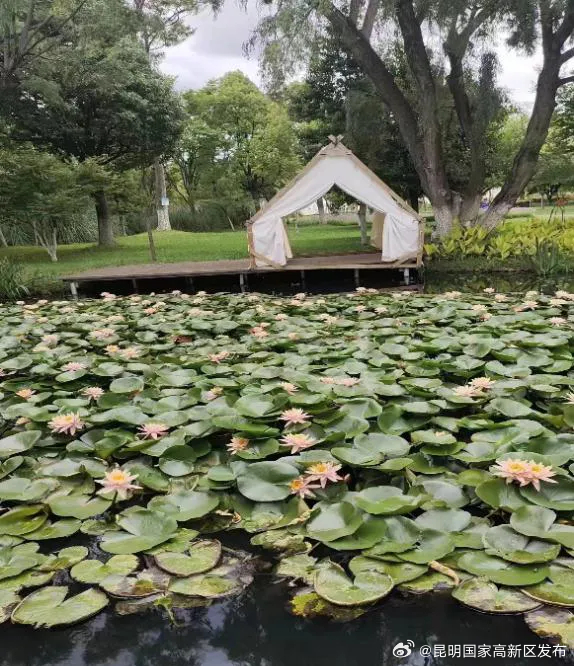 昆明国家高新区发布