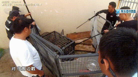 8099999街头巷尾微信