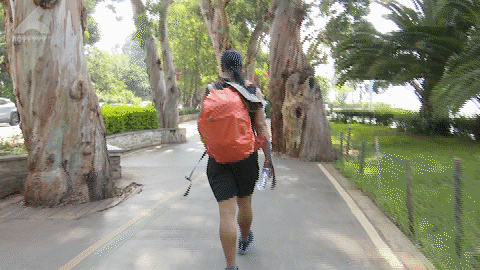 8099999街头巷尾微信