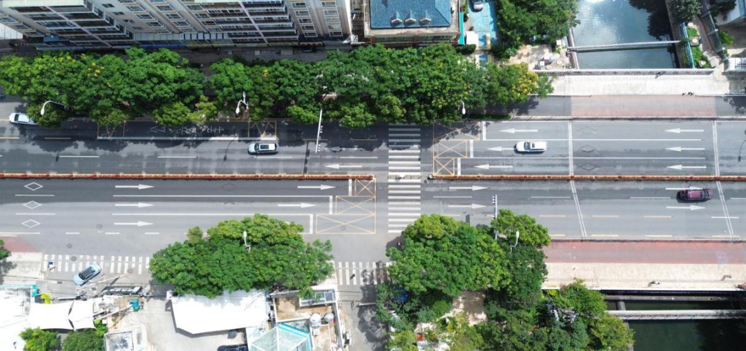 8099999街头巷尾微信