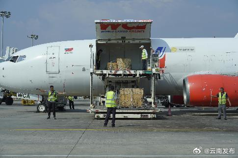 货值约300万元！芒市-仰光全货机航班再起航