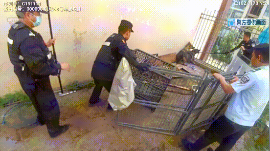 8099999街头巷尾微信