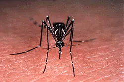 云南广播电视台微信