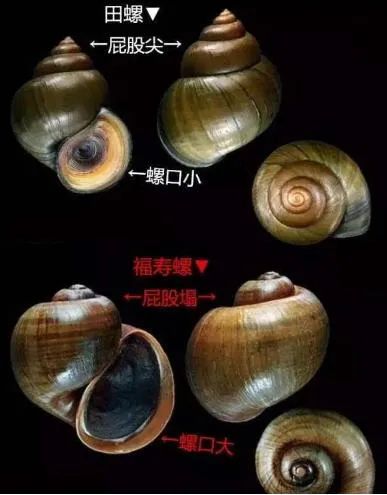 云南卫生12320