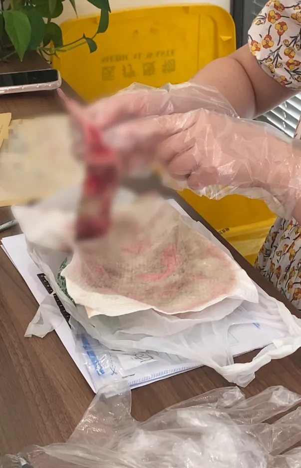 掌上春城微信