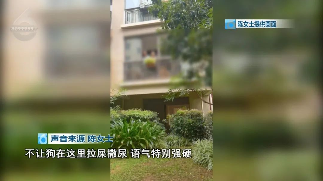 8099999街头巷尾微信