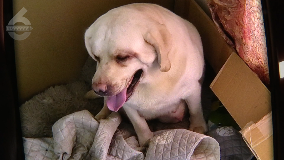 8099999街头巷尾微信