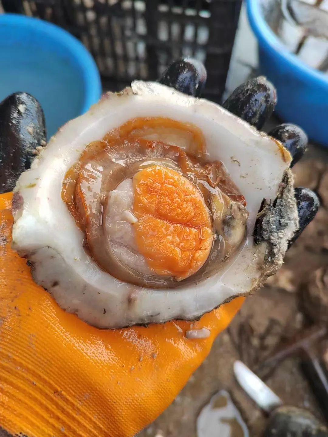 昆明广播电视台微信