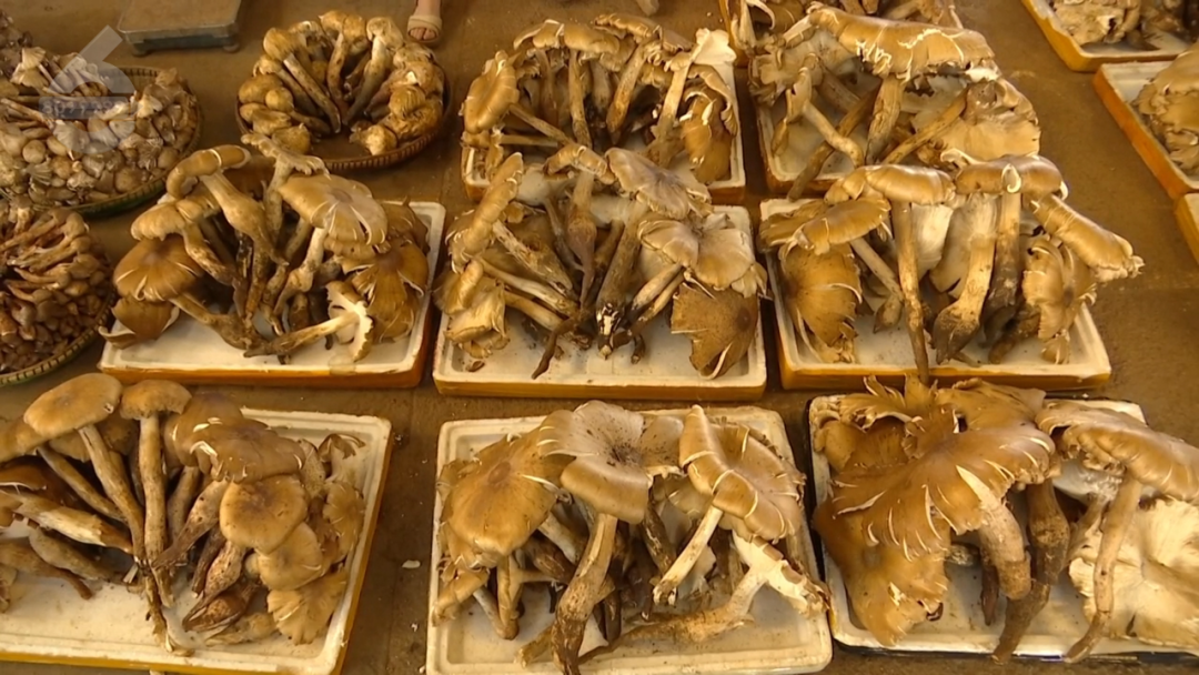 8099999街头巷尾微信