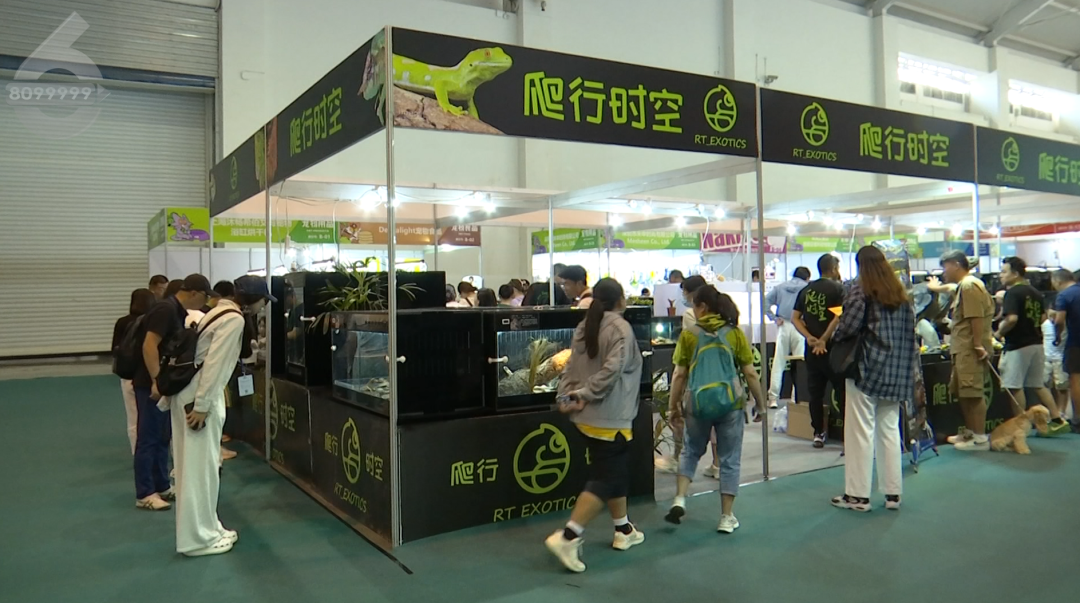 8099999街头巷尾微信