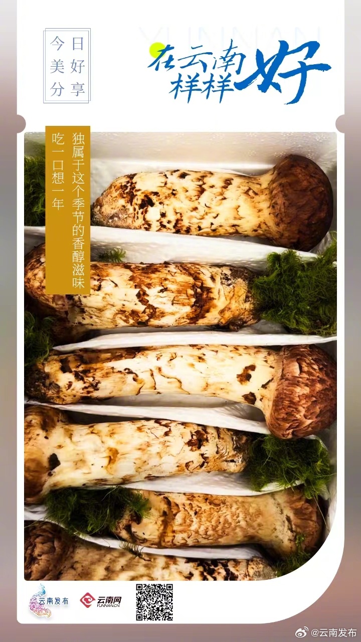 独属于这个季节的香醇滋味，吃一口想一年！