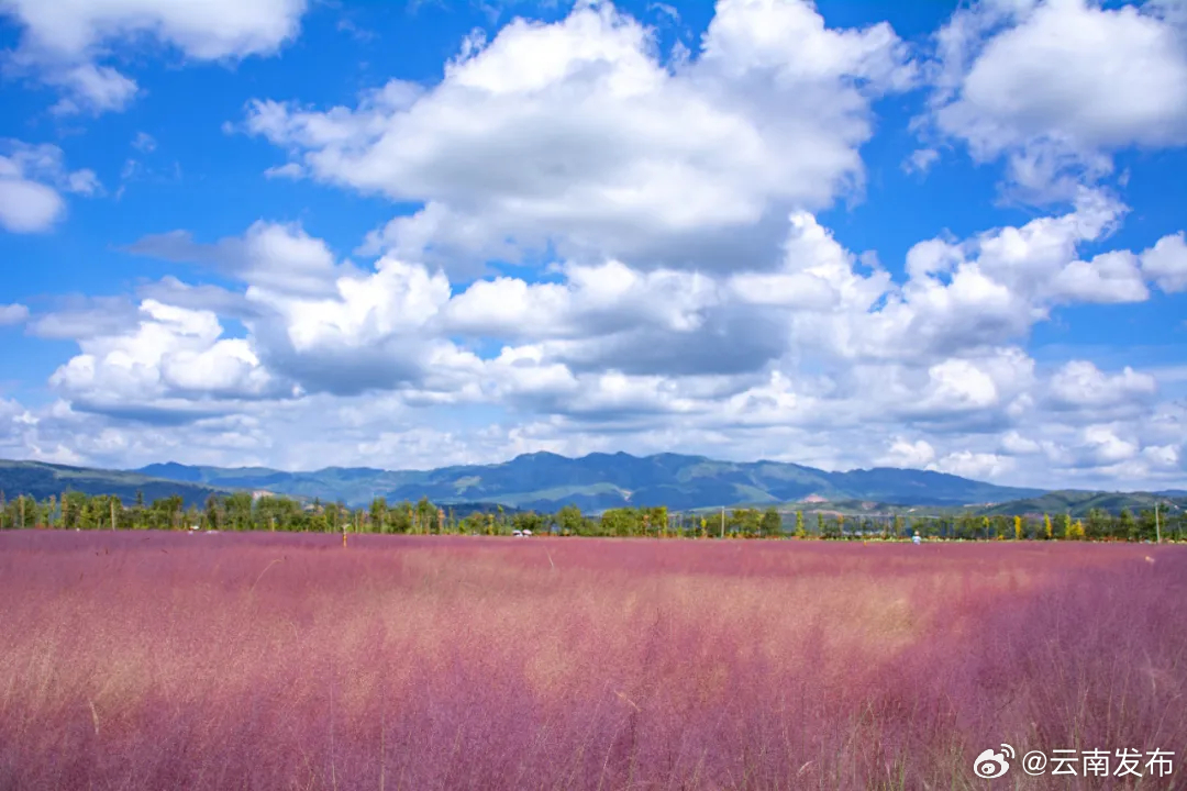 云南环境空气质量预报