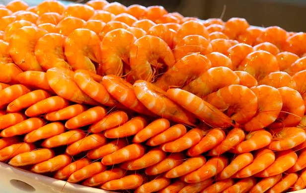 昆明广播电视台