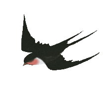 昆明市中医医院