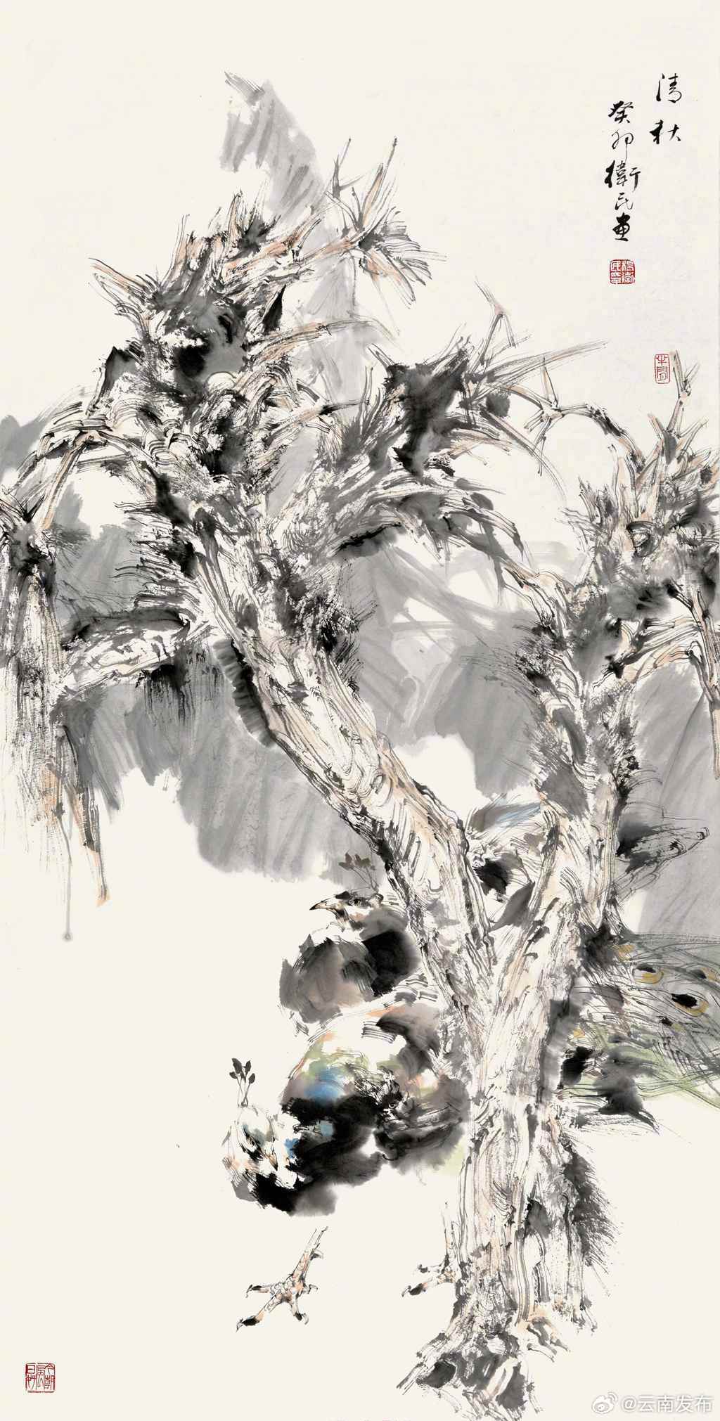 云南发布