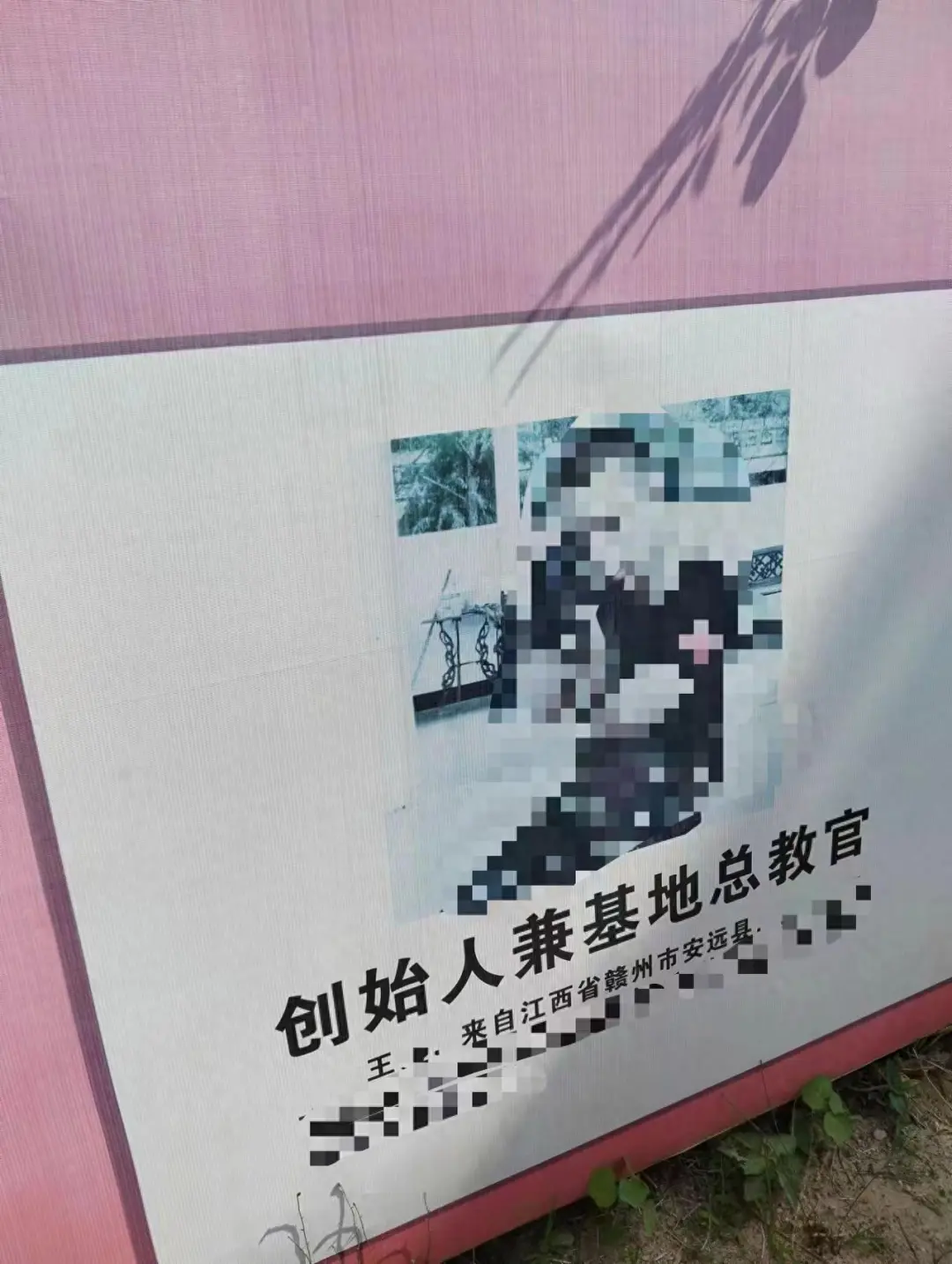 都市时报微信