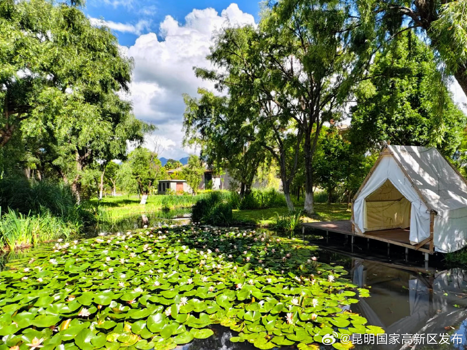 昆明国家高新区发布