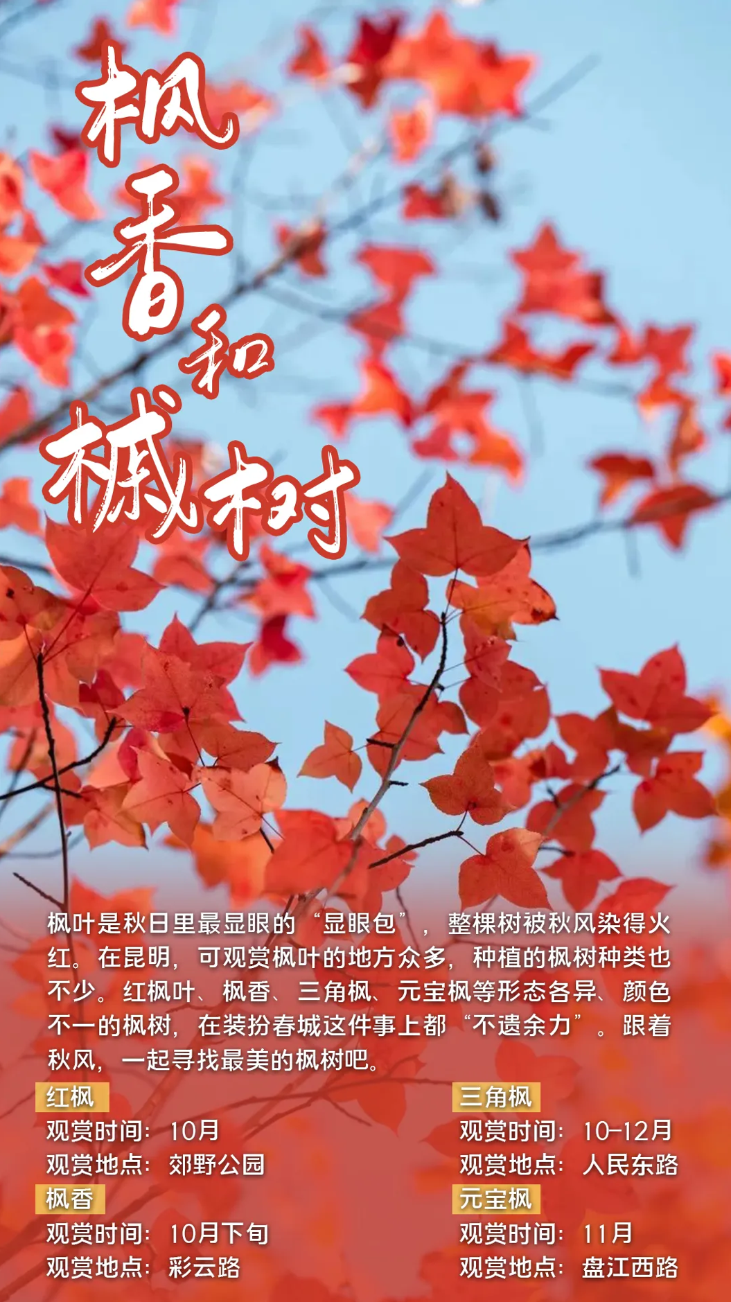 FM105城市生活广播