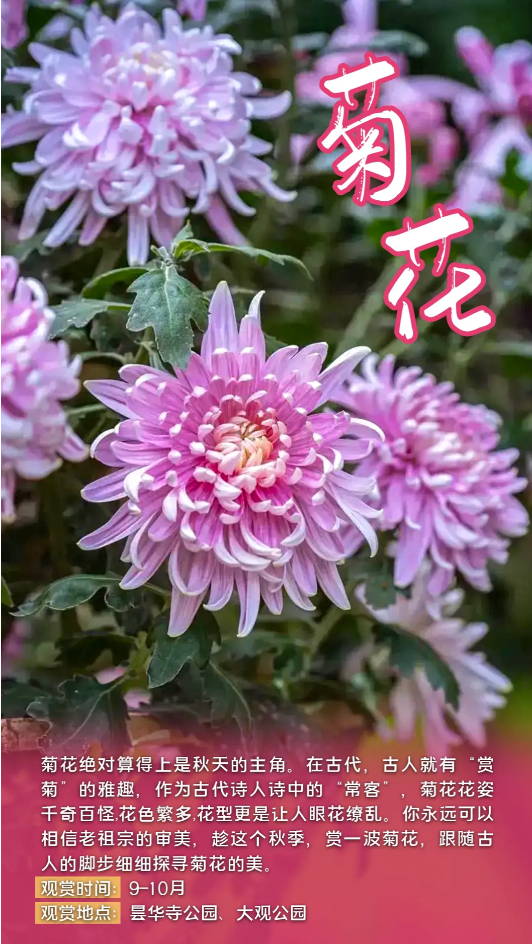 FM105城市生活广播