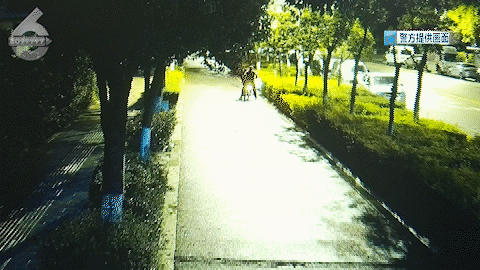 8099999街头巷尾微信