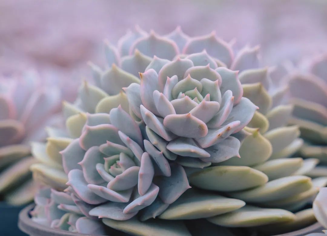 晋宁诗意的栖居地