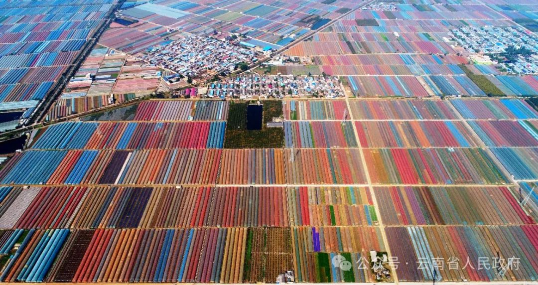 云南省人民政府网