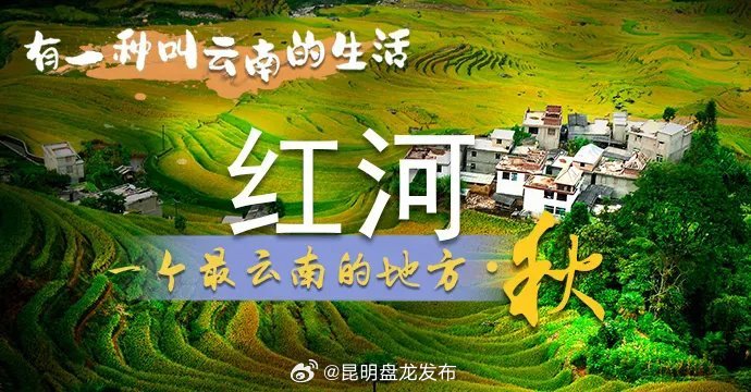 昆明盘龙发布