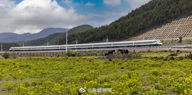 春城晚报